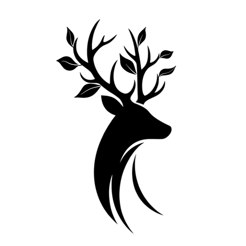 Linen & the havens Private Limited