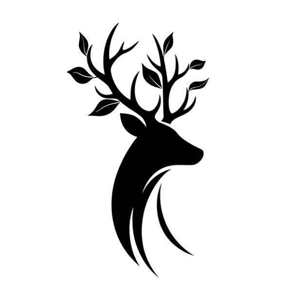 Linen & the havens Private Limited